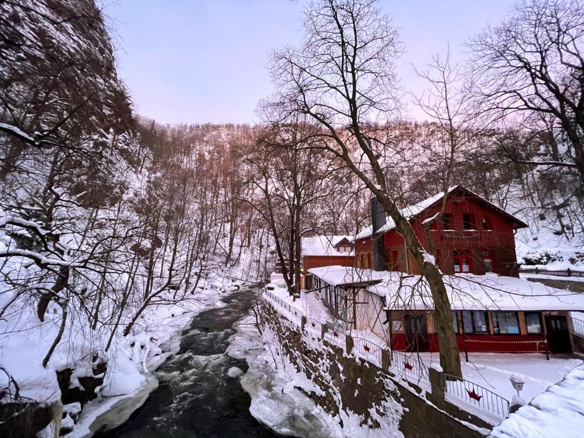 Gasthaus Koenigsruhe Thale Exterior foto